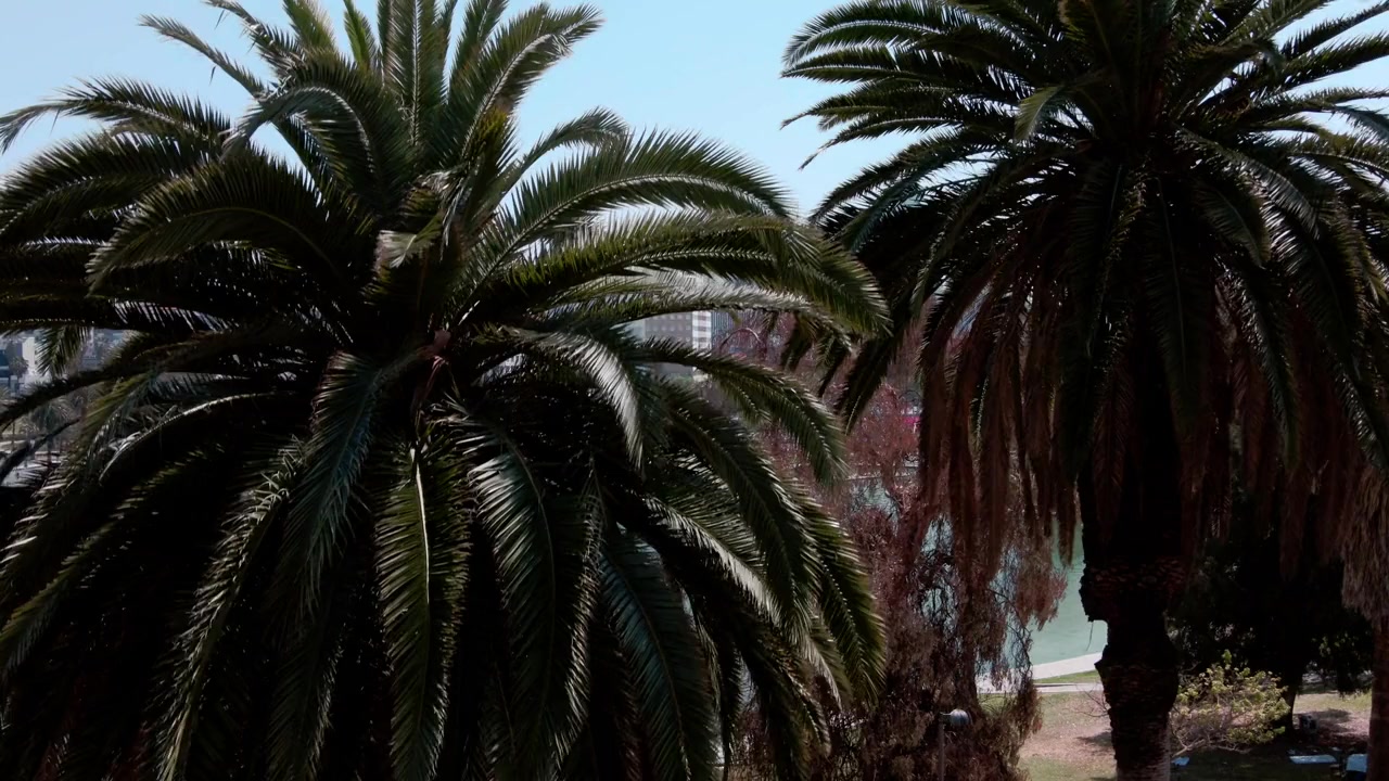 Aloha with Love screenshot 1