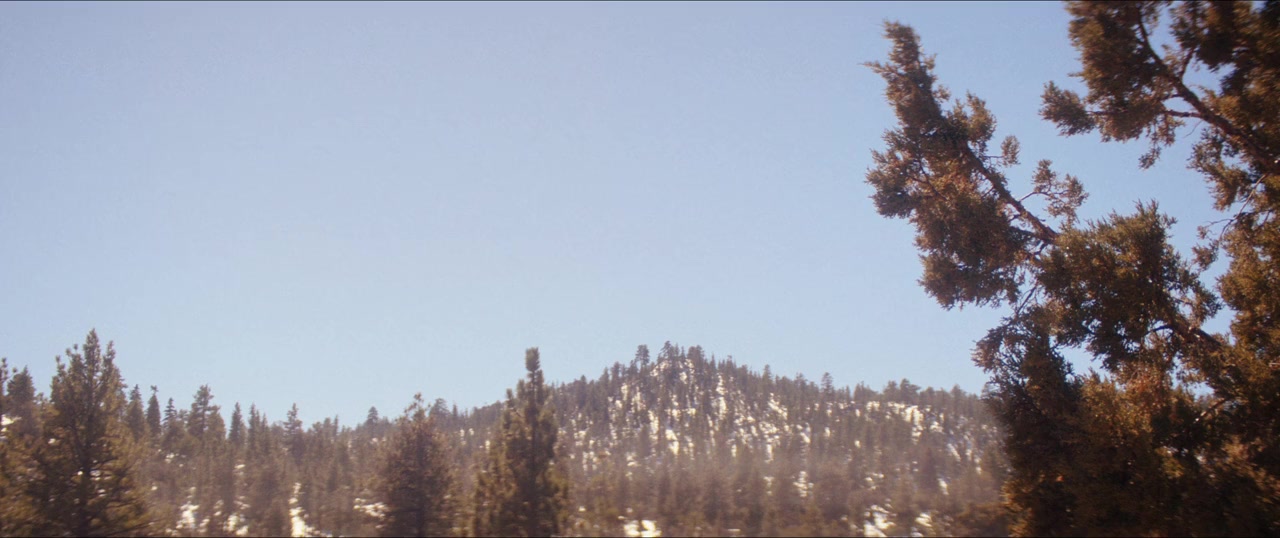 18 & Over screenshot 2