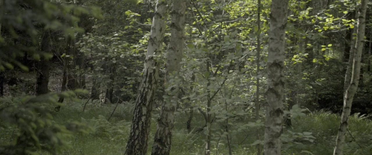 Alone in Berlin screenshot 3