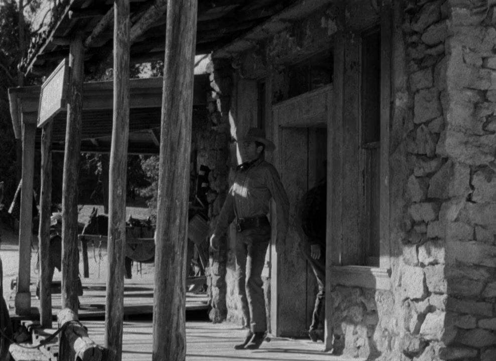 Along Came Jones screenshot 2