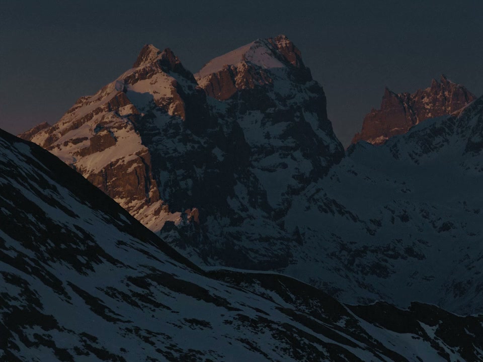Alpha. screenshot 2