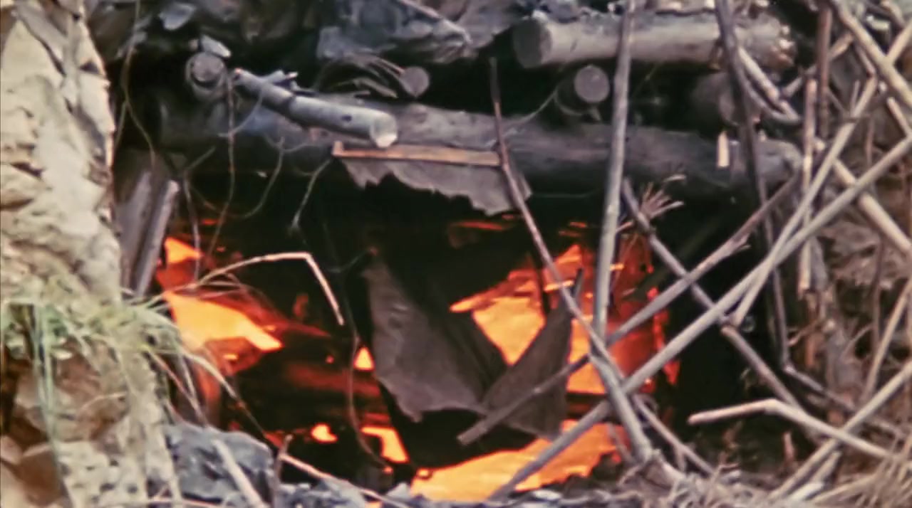 Apocalypse '45 screenshot 2