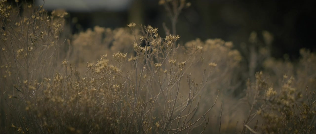 Apocalypse Love Story screenshot 2