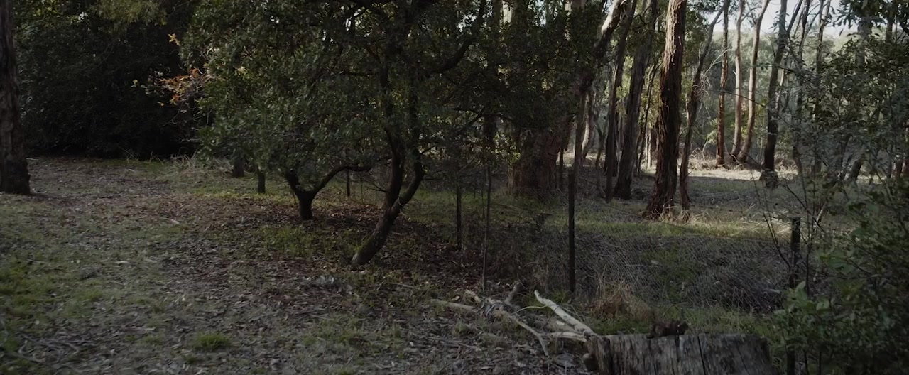 Apparitions screenshot 1