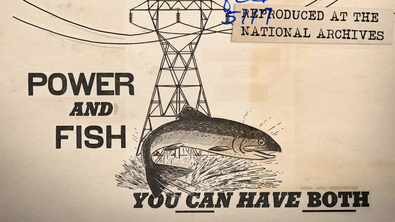 Artifishal screenshot 1
