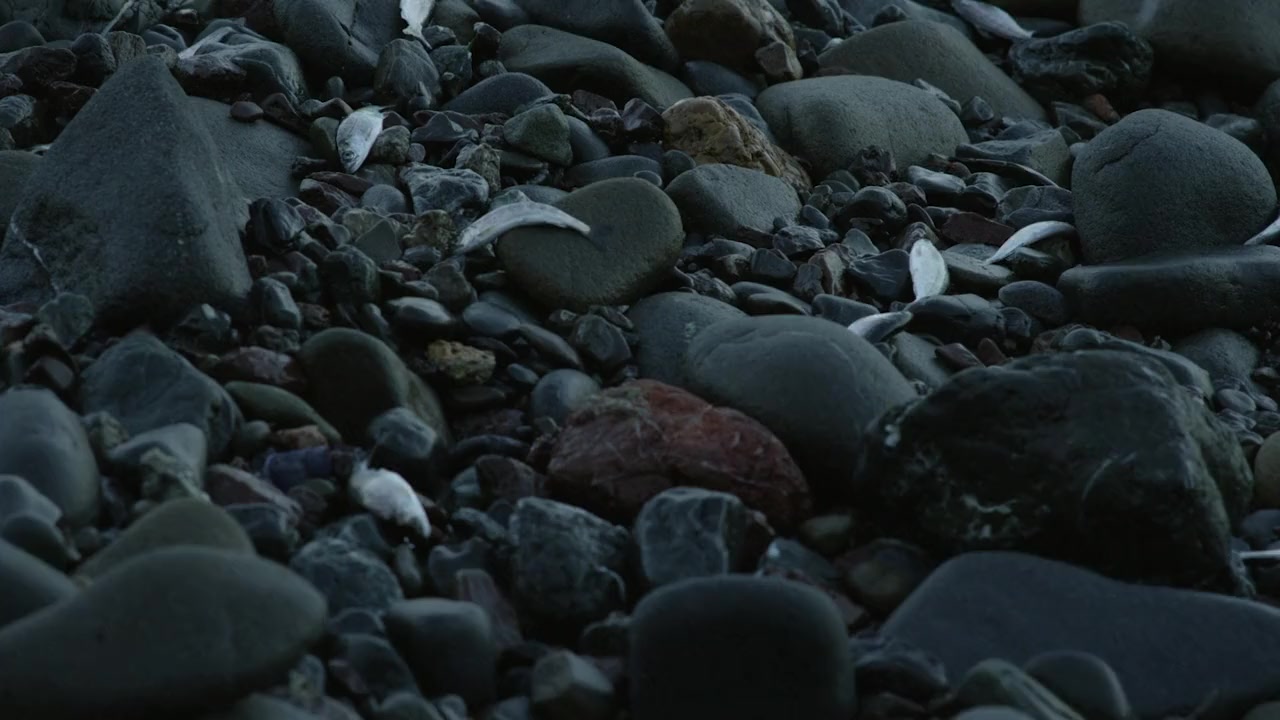 Artifishal screenshot 2