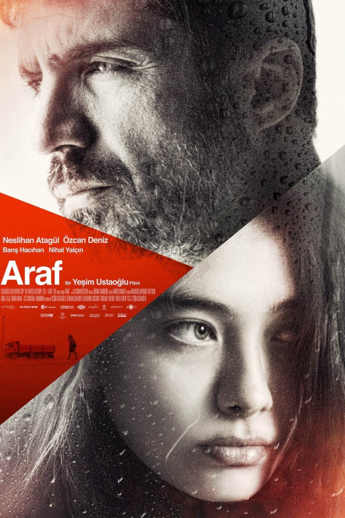 Araf (2012) poster