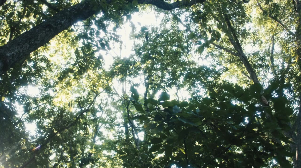 Enclosure screenshot 2