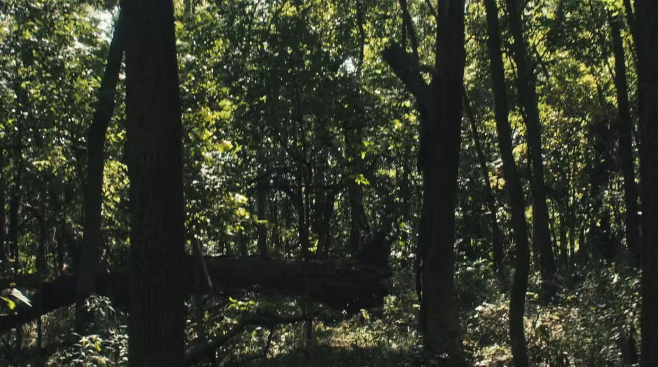 Enclosure screenshot 3