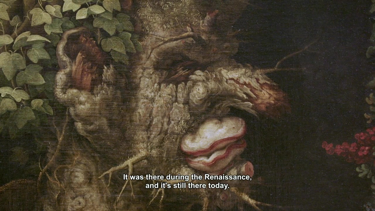 Arcimboldo, portrait d'un audacieux screenshot 2