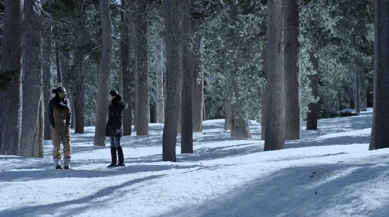 Arctic Apocalypse screenshot 1