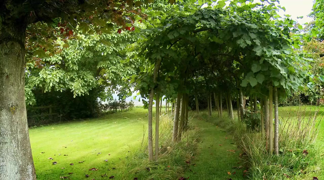 Produced by George Martin screenshot 1