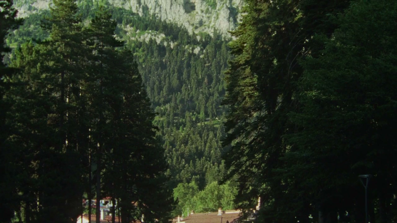 Arkoudotrypa screenshot 1