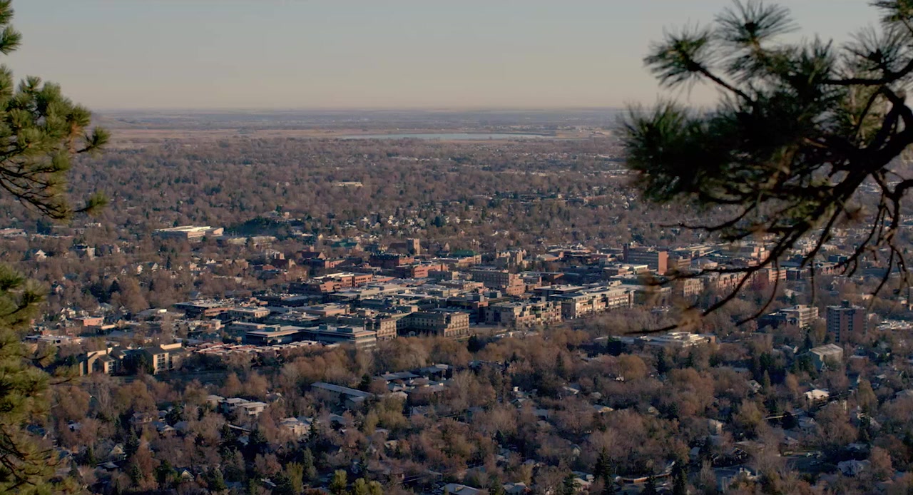 Army & Coop screenshot 1