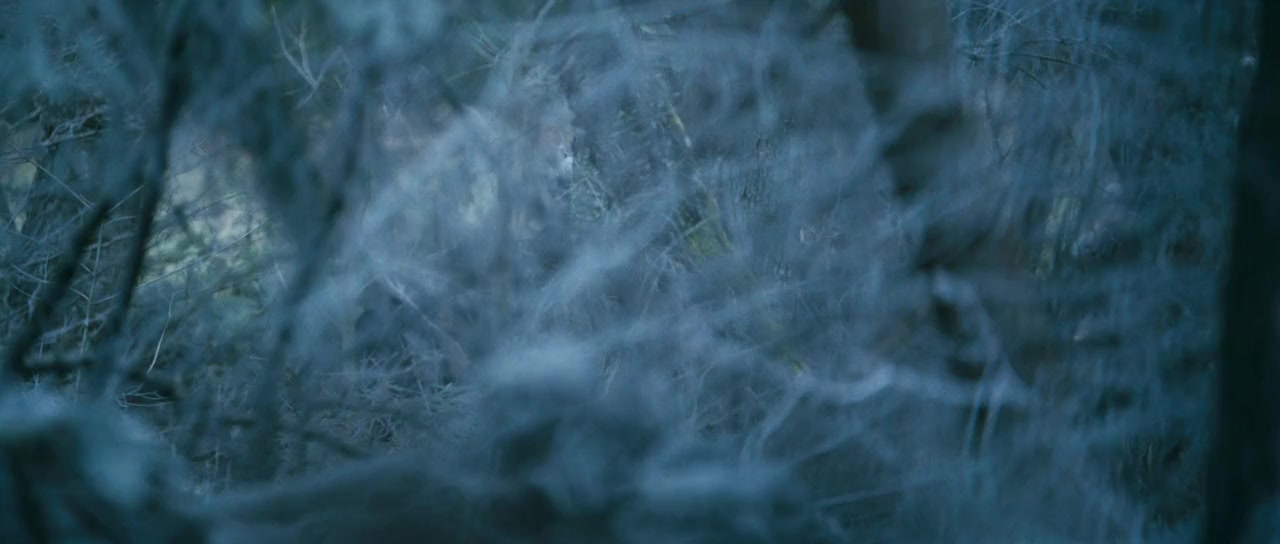 Arn: Tempelriddaren screenshot 3