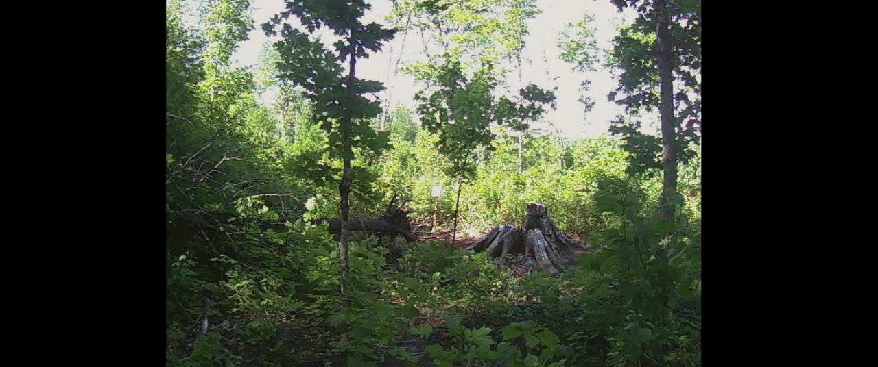 Arsenault & fils screenshot 1
