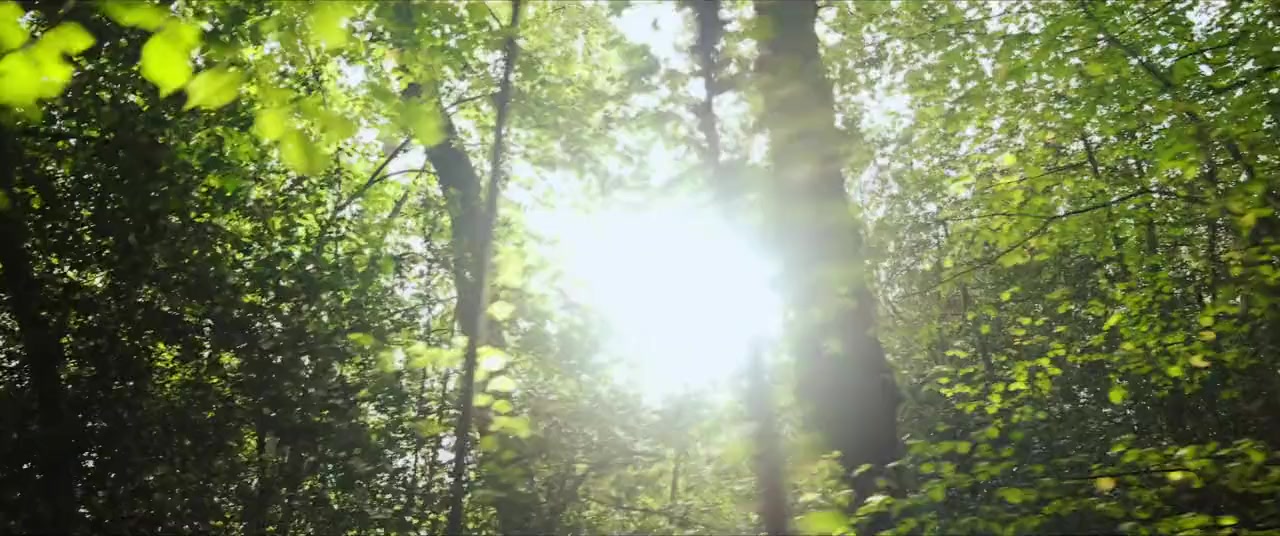 Arsène Wenger: Invincible screenshot 2