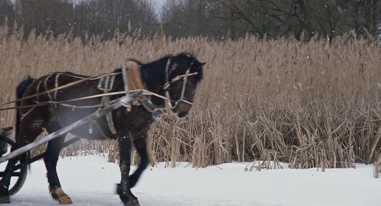 So weit die Füße tragen screenshot 3