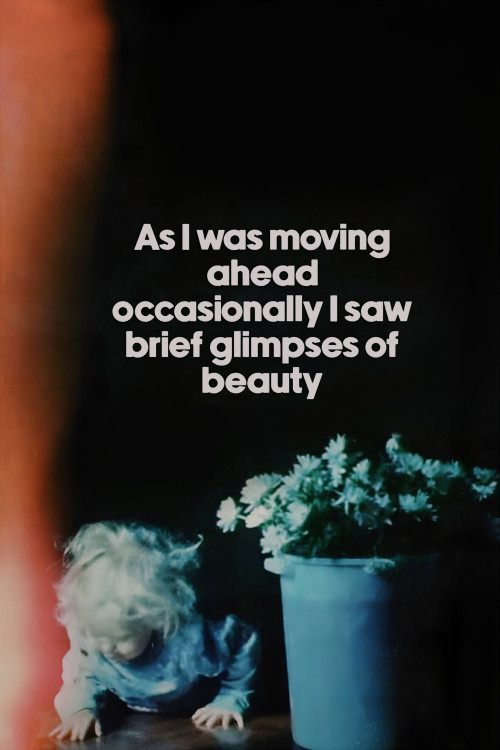 As I Was Moving Ahead Occasionally I Saw Brief Glimpses of Beauty (2000) poster