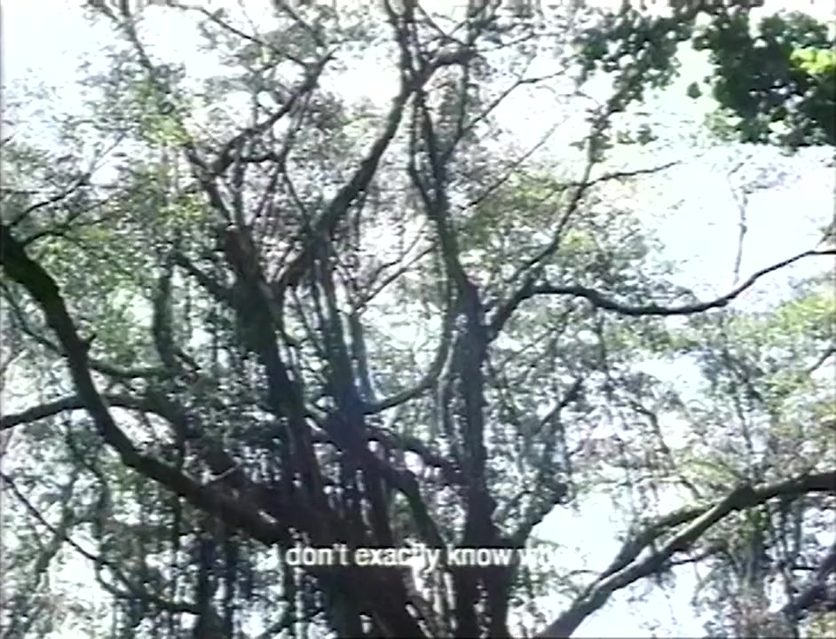 Qu ri ku duo screenshot 1