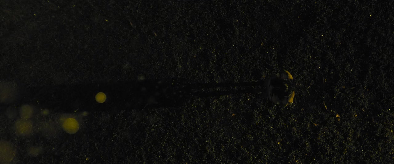Asih screenshot 2