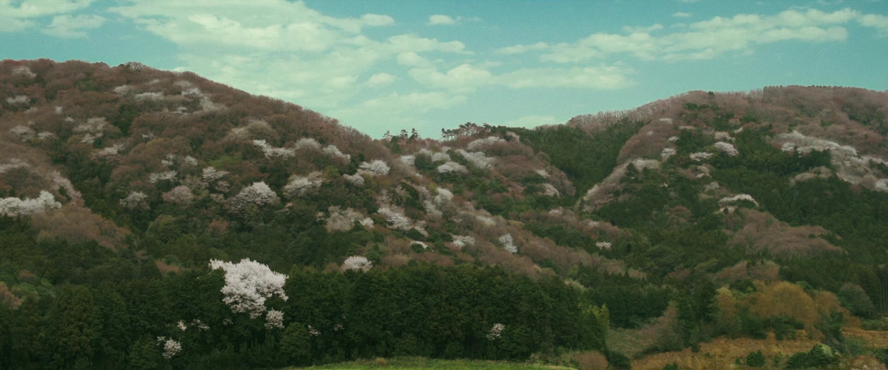 Rikyû ni tazune yo screenshot 1