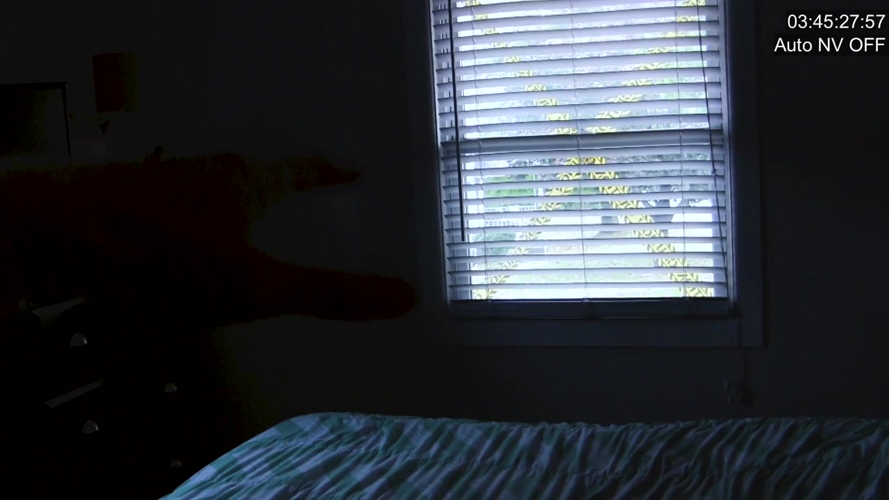 Attached: Paranormal screenshot 2