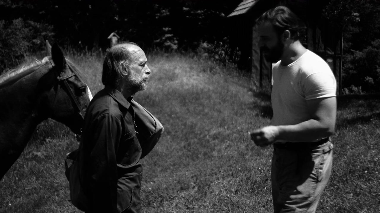 Attack of the Flies screenshot 3