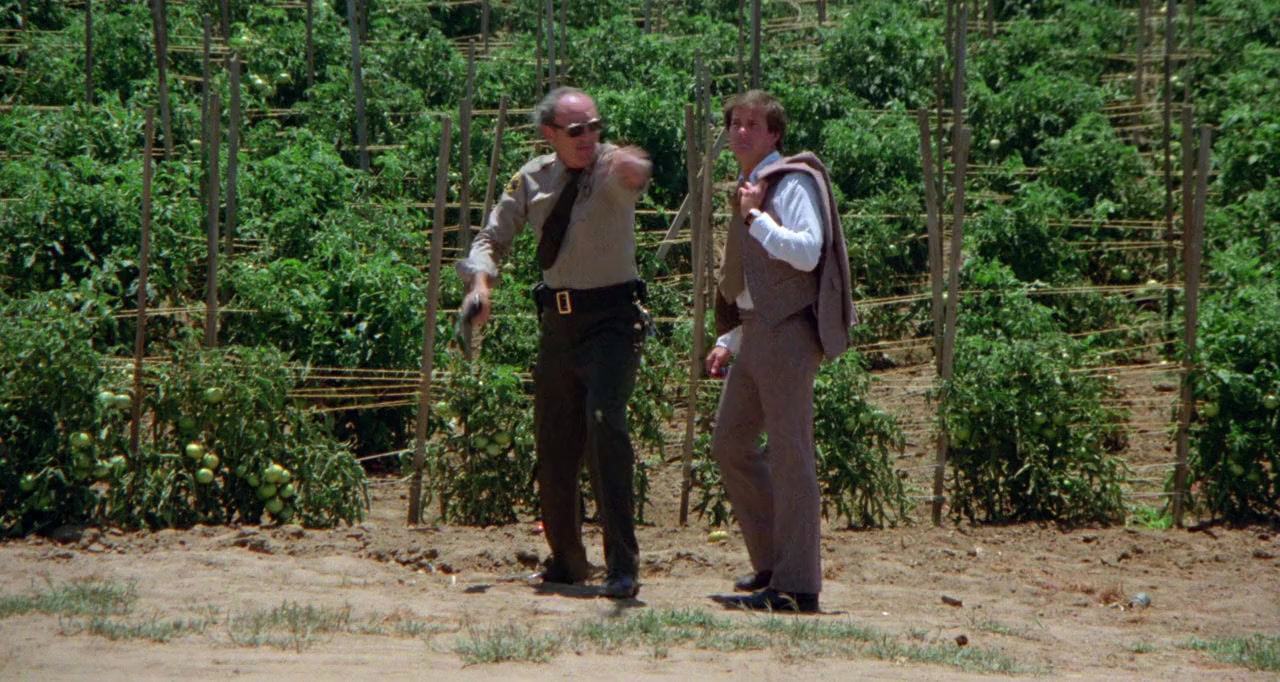 Attack of the Killer Tomatoes! screenshot 1