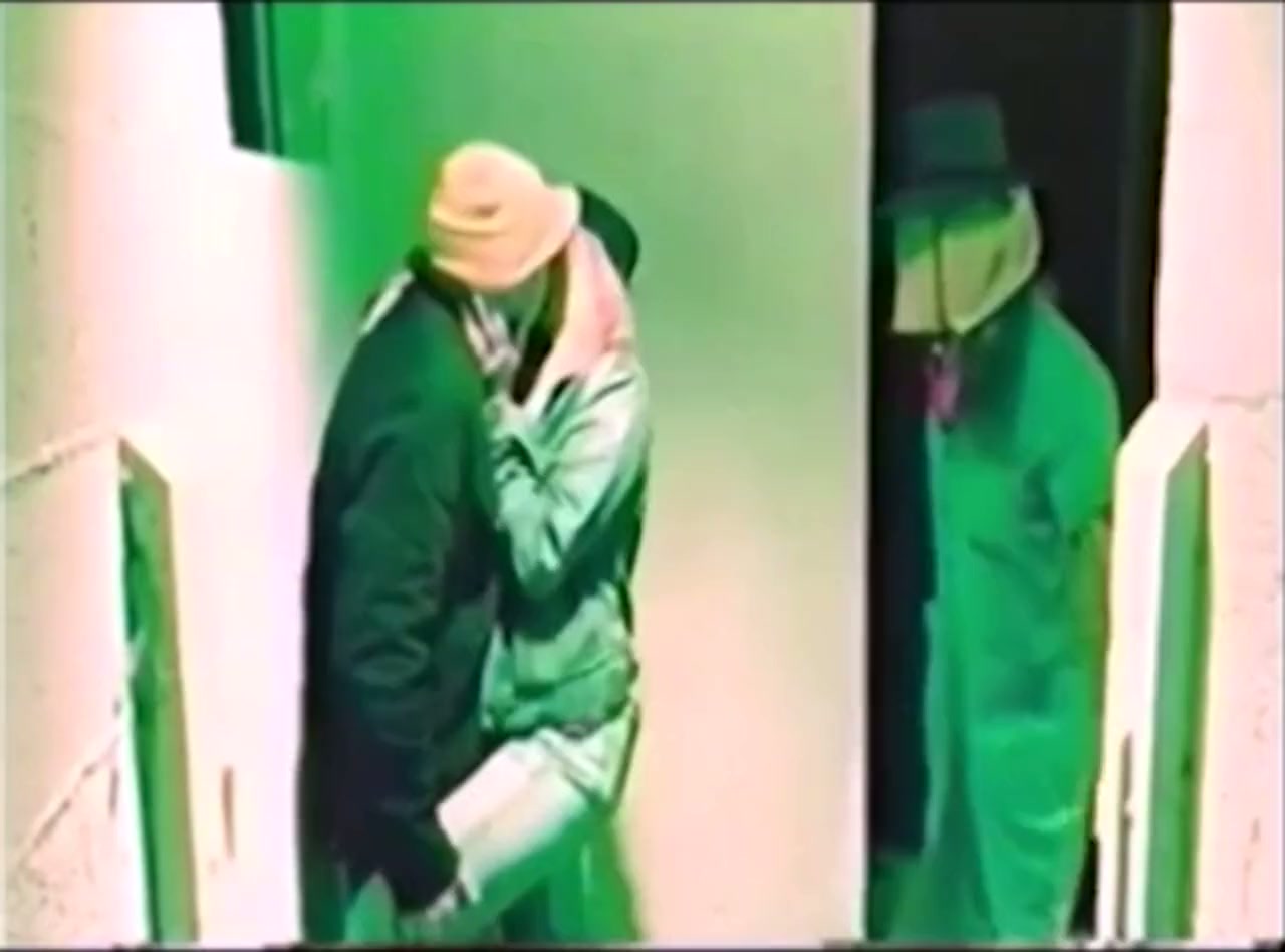 Attack of the Scarecrow from Mars screenshot 3