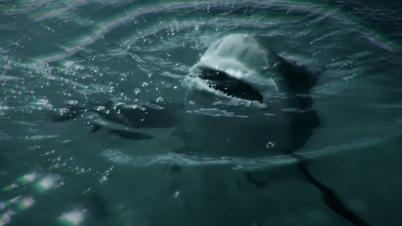 Attack of the Samurai Sharks screenshot 3