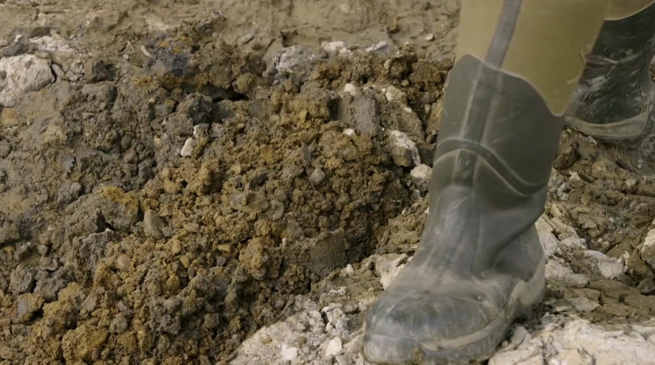 Attenborough and the Mammoth Graveyard screenshot 2