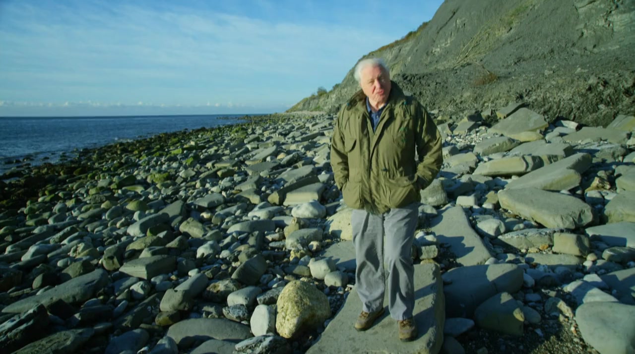 Attenborough and the Sea Dragon screenshot 2