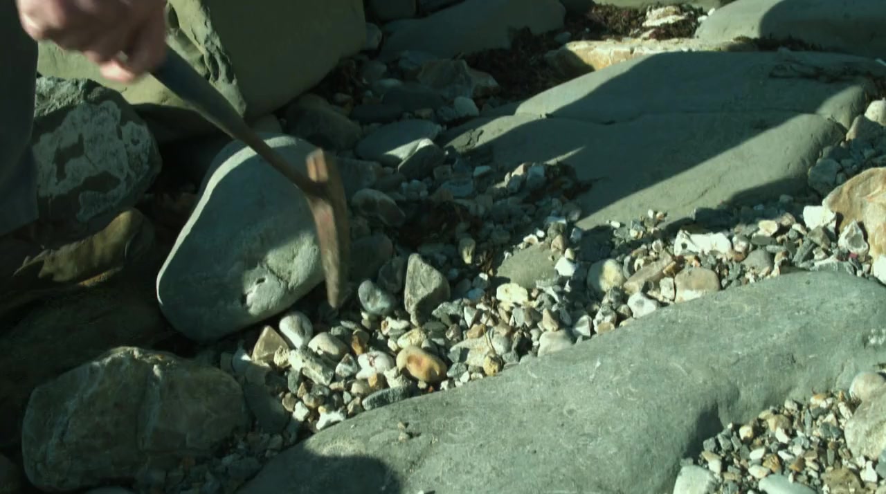 Attenborough and the Sea Dragon screenshot 3