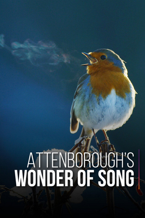 Attenborough's Wonder of Song (2022) poster