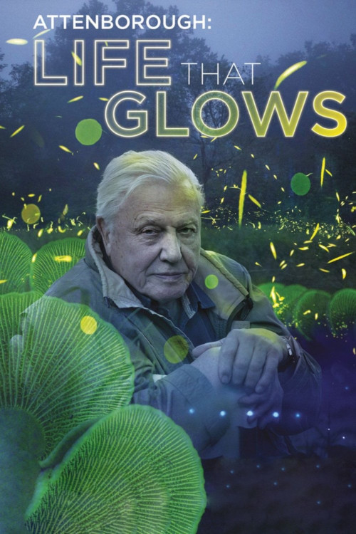 Attenborough's Life That Glows (2016) poster