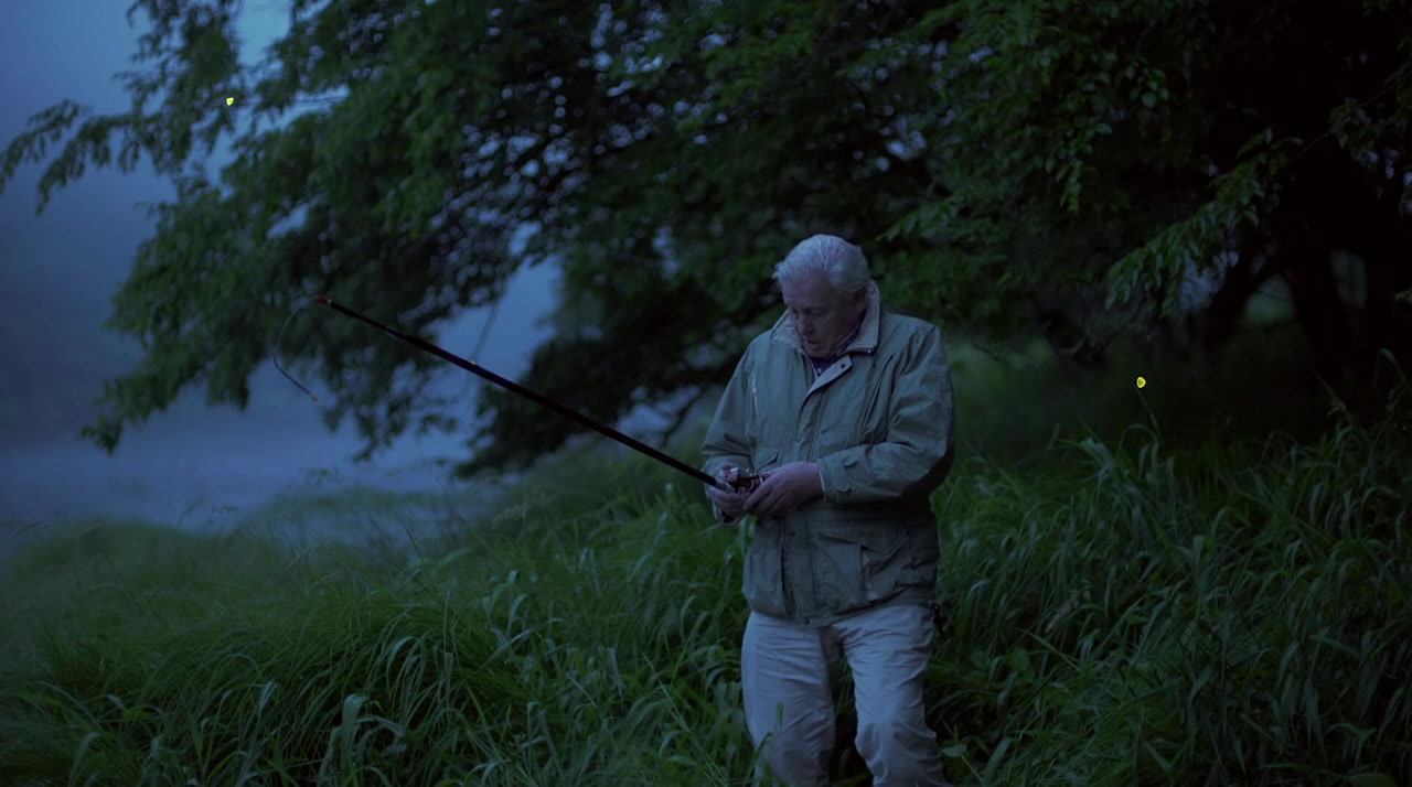 Attenborough's Life That Glows screenshot 2
