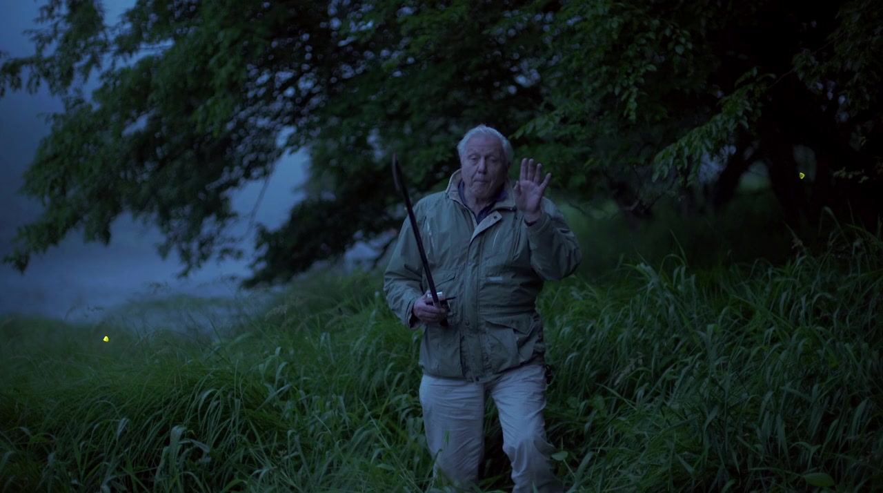 Attenborough's Life That Glows screenshot 3