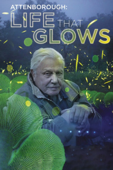 Attenborough's Life That Glows (2016) poster