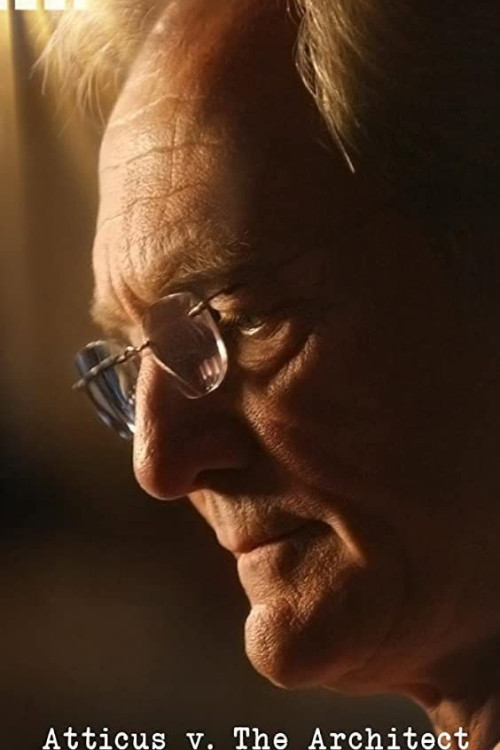 Atticus v. The Architect: The Political Assassination of Don Siegelman (2017) poster