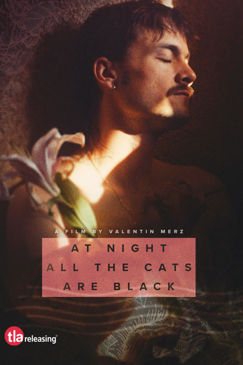 De noche los gatos son pardos (2022) poster