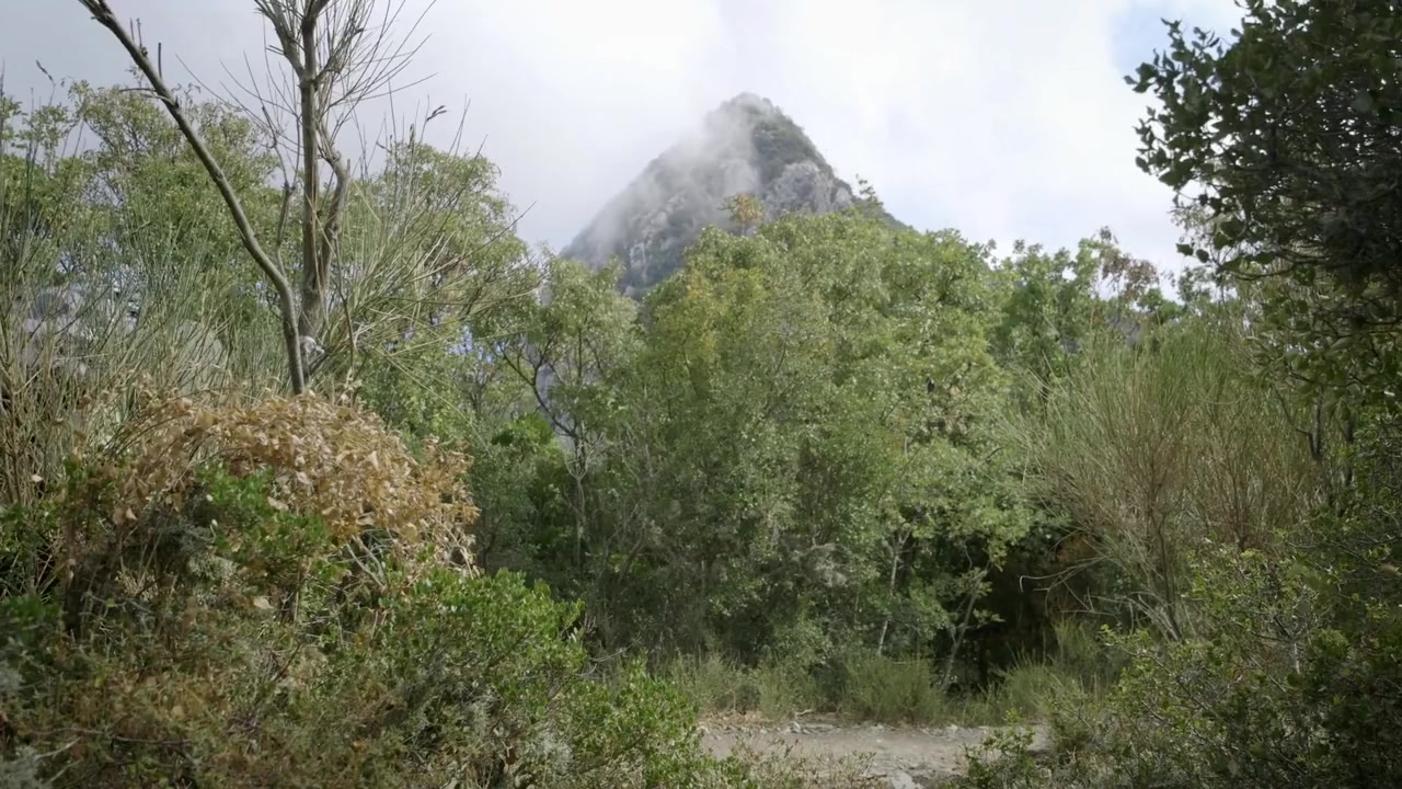 Athos screenshot 2