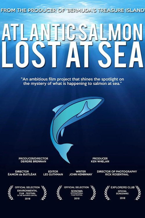 Atlantic Salmon: Lost at Sea (2018) poster