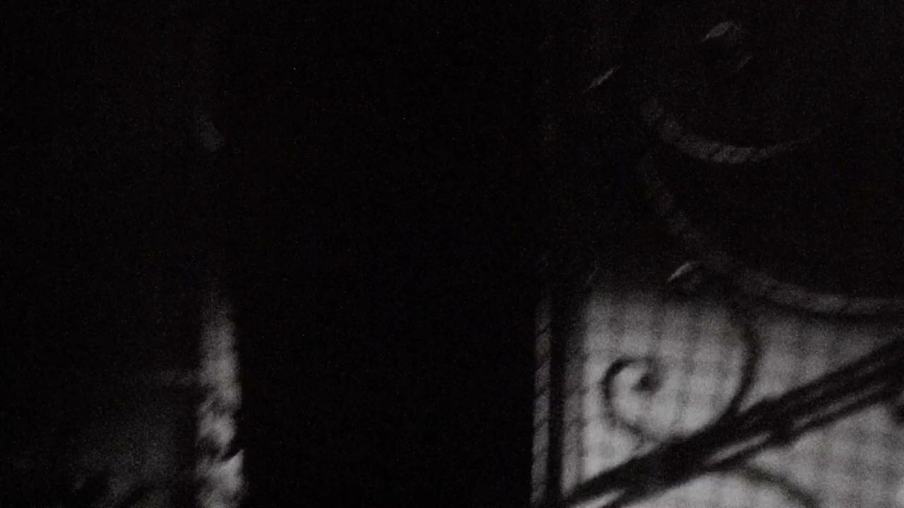 Autoluminescent: Rowland S. Howard screenshot 3