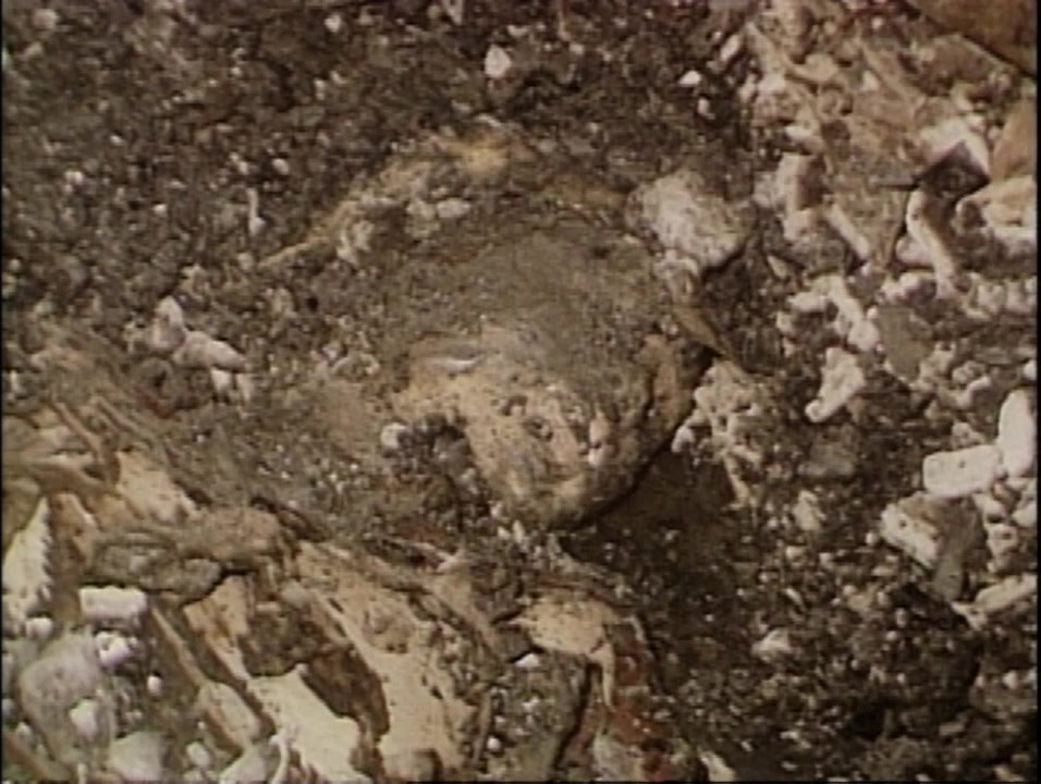Autopsy 4: The Dead Speak screenshot 1