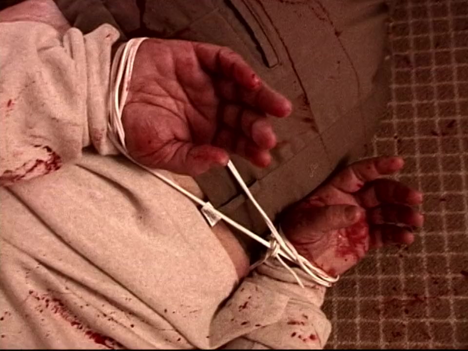 Autopsy: Sex, Lies and Murder screenshot 1