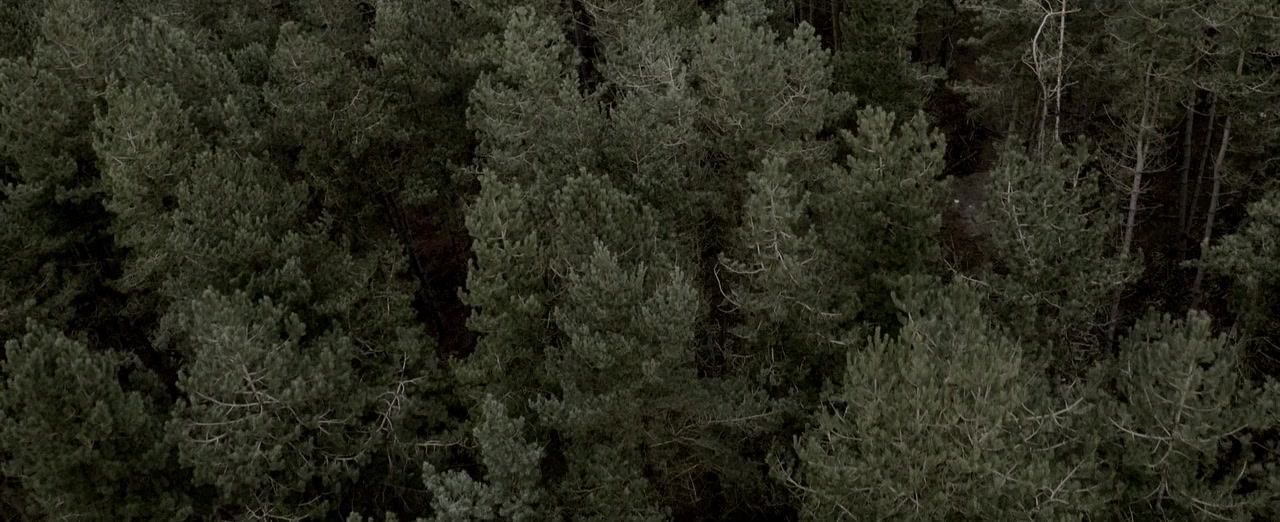Aux screenshot 1