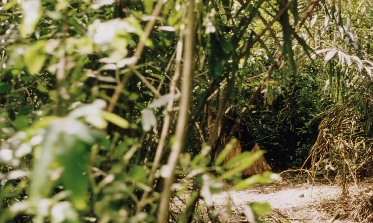 Au nom du Christ screenshot 3