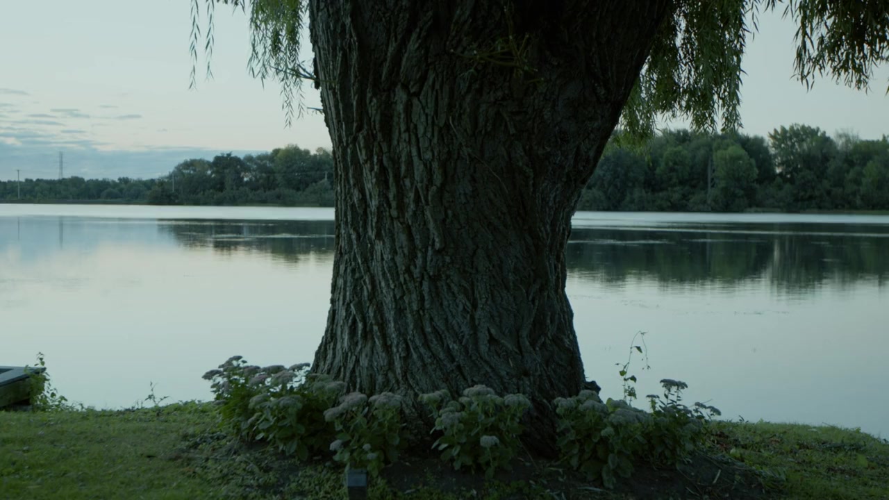 Au Revoir screenshot 1