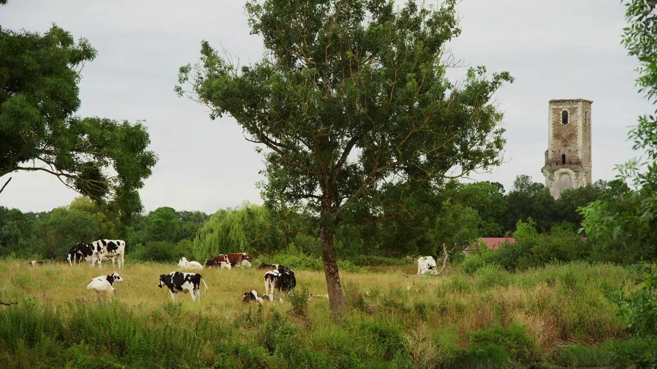 Audubon screenshot 1